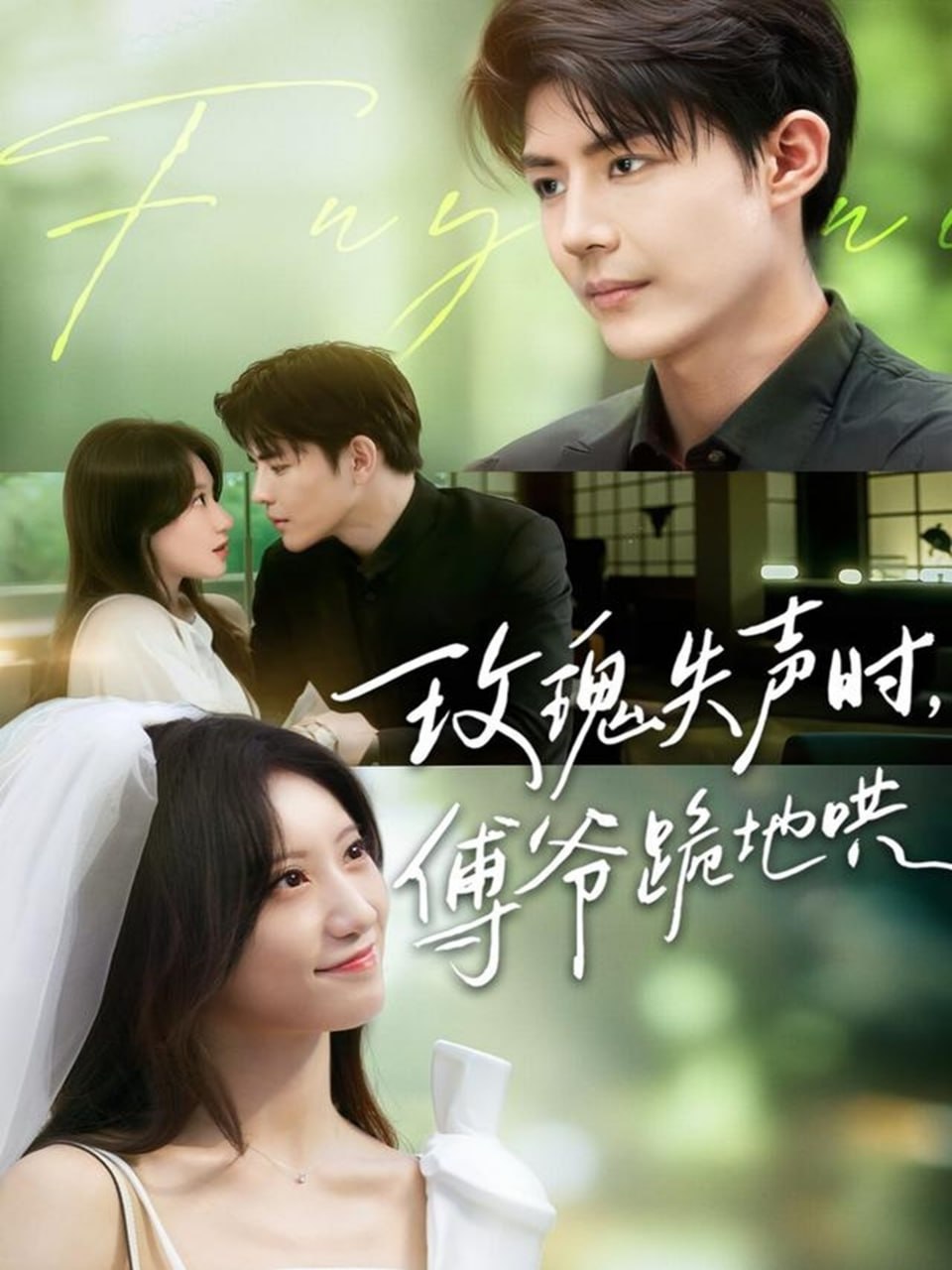 玫瑰失声时傅爷跪地哄第02集