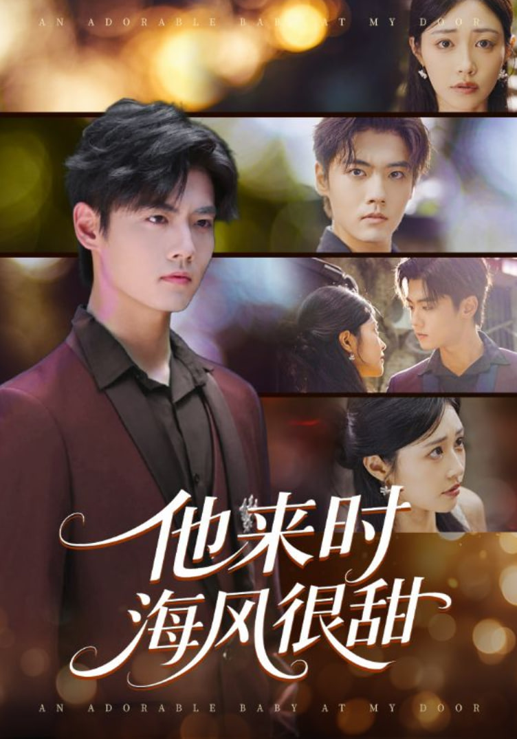 他来时海风很甜第59集