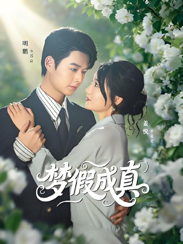 梦假成真第48集