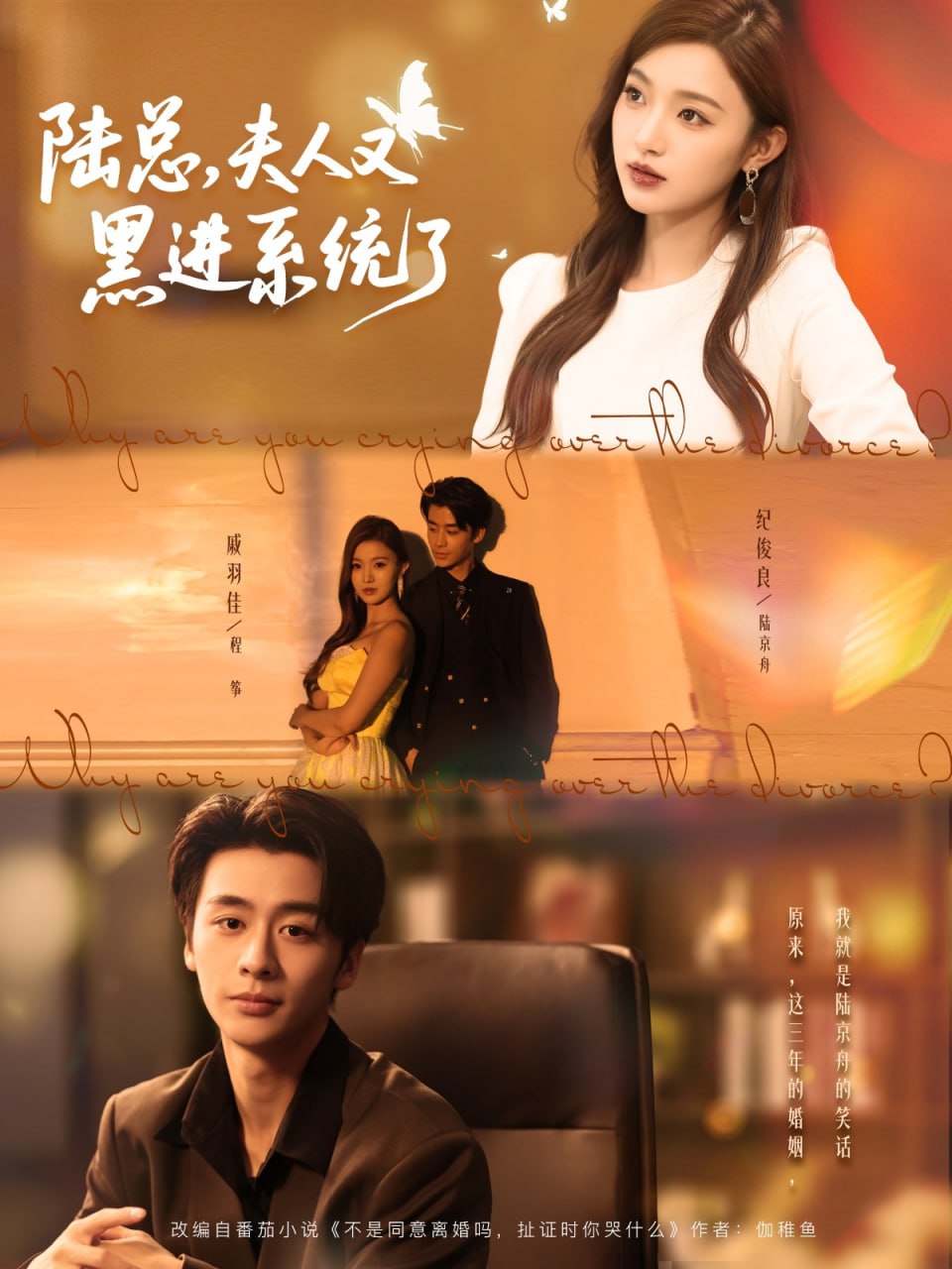 陆总夫人又黑进系统了第79集