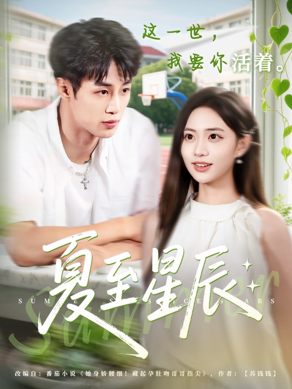 夏至星辰第46集