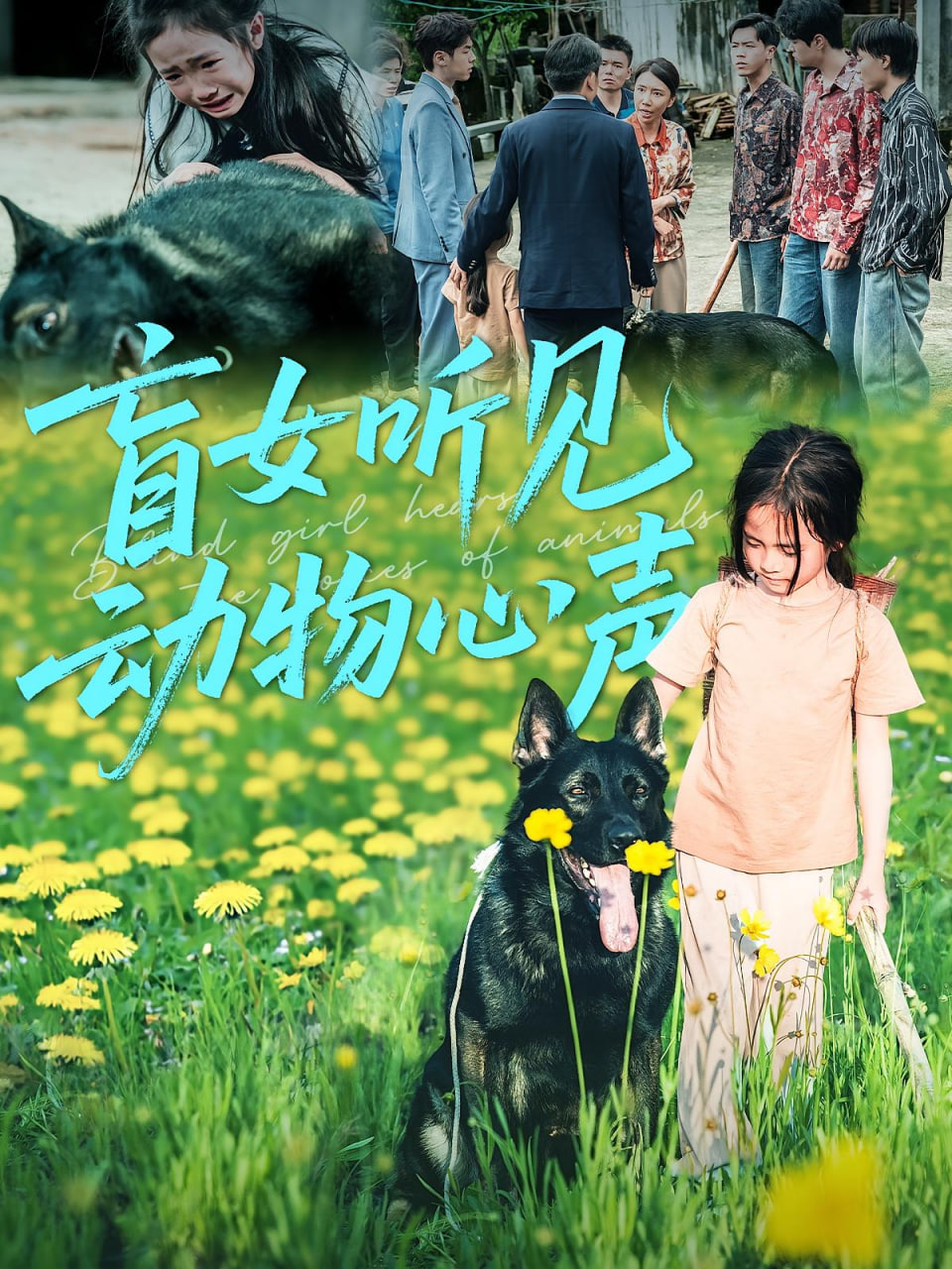 盲女听见动物心声第03集