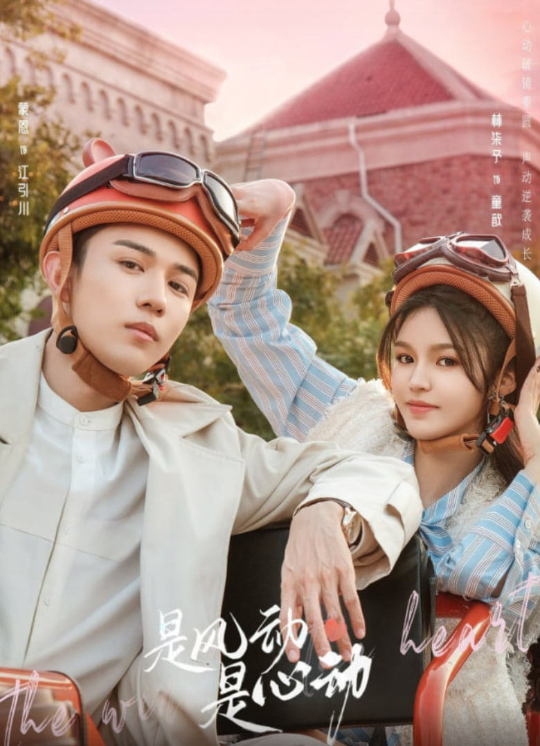 是风动、是心动第17集