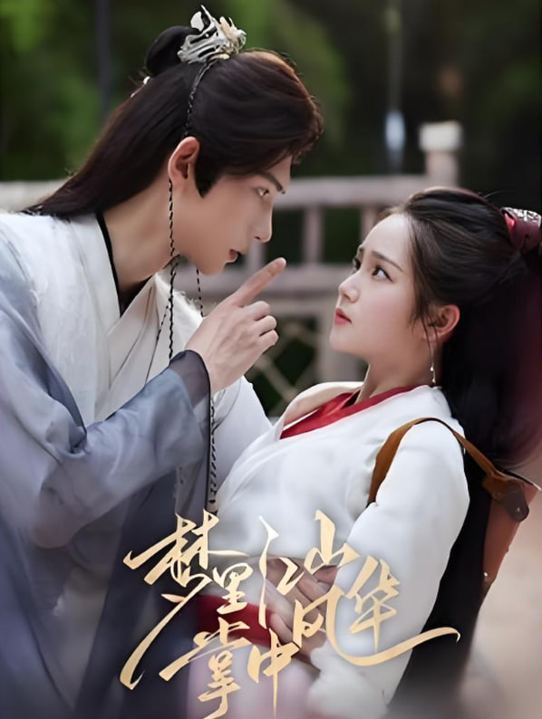 梦里江山掌中风华第78集