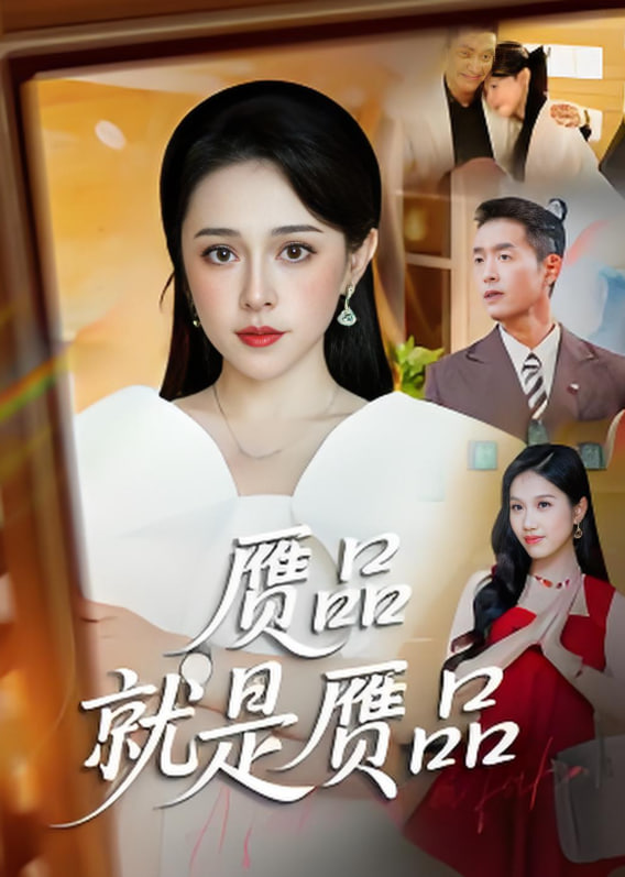 赝品就是赝品第01集