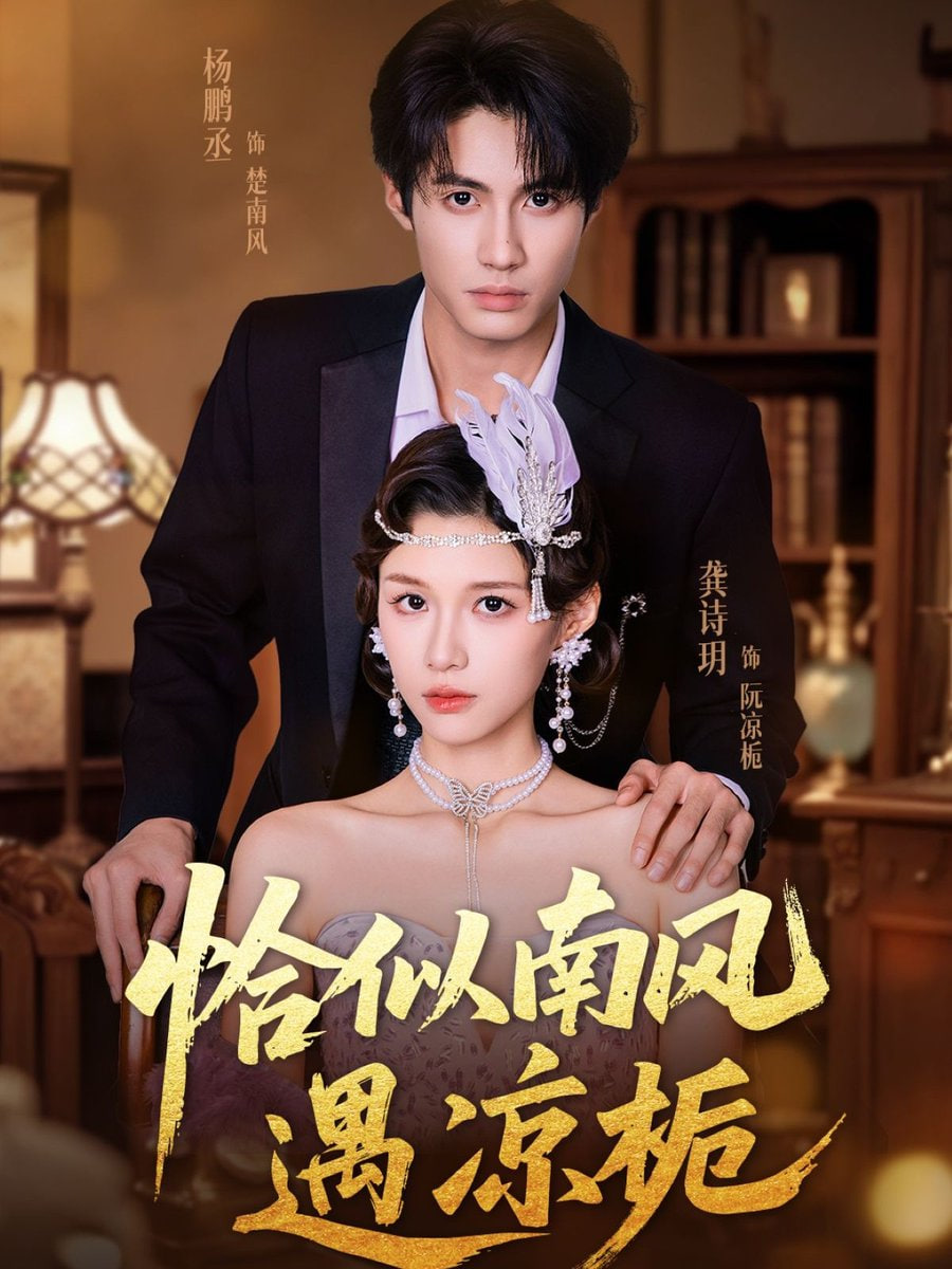 恰似南风遇凉栀第11集