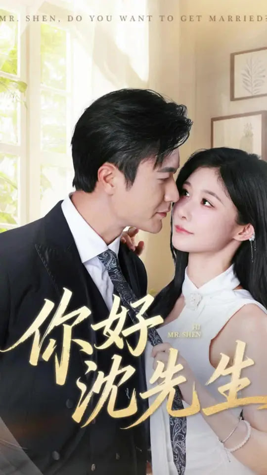 你好沈先生第42集