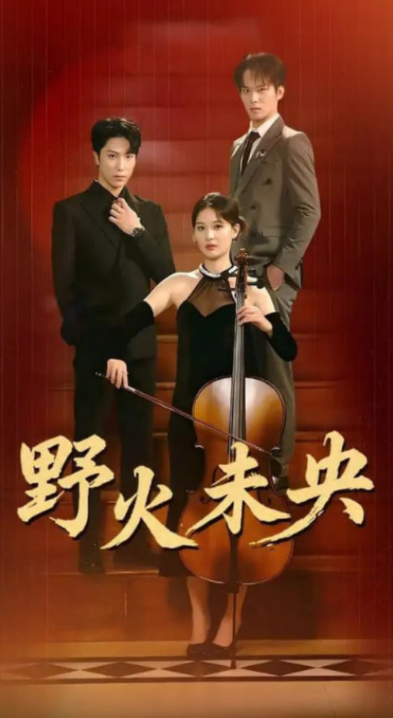 野火未央第17集