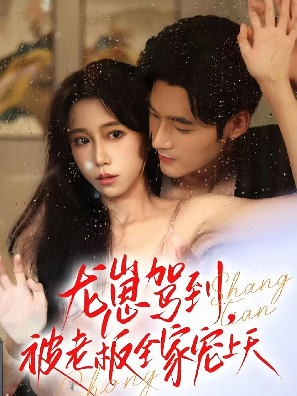 龙崽驾到被老板全家宠上天第17集