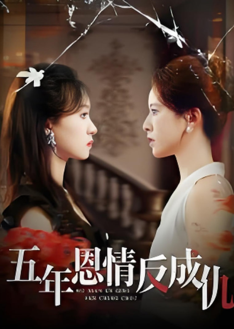 五年恩情反成仇第26集