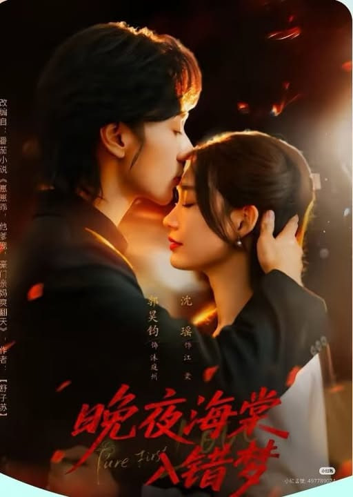 晚夜海棠入错梦第01集