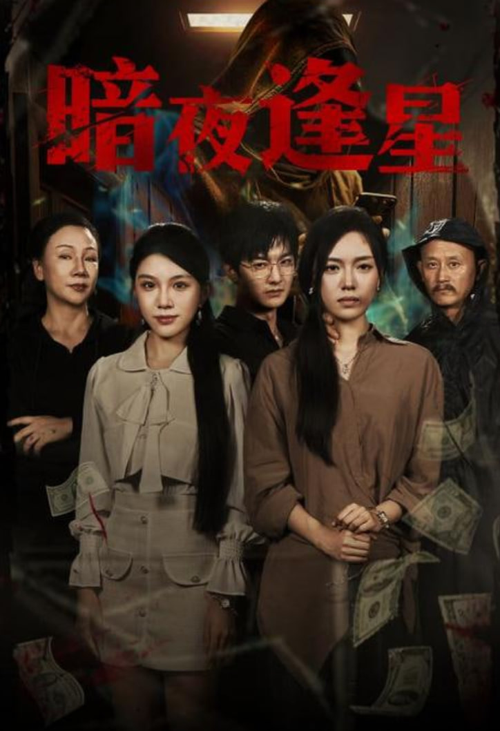 暗夜逢星第31-67集(大结局)