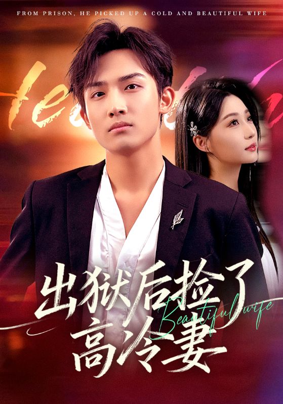 出狱后捡了高冷妻全集完结(大结局)