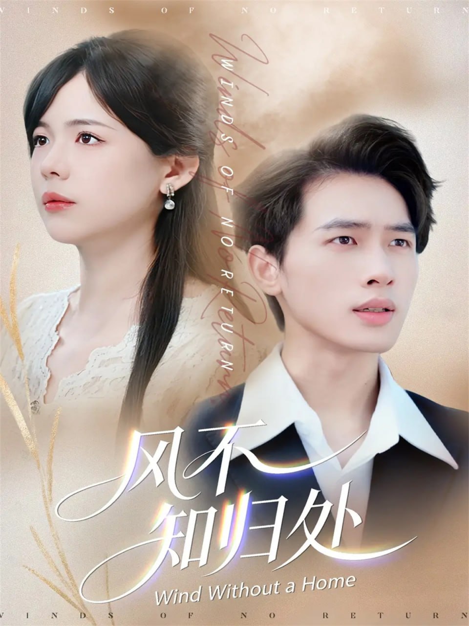 风不知归处全集完结(大结局)
