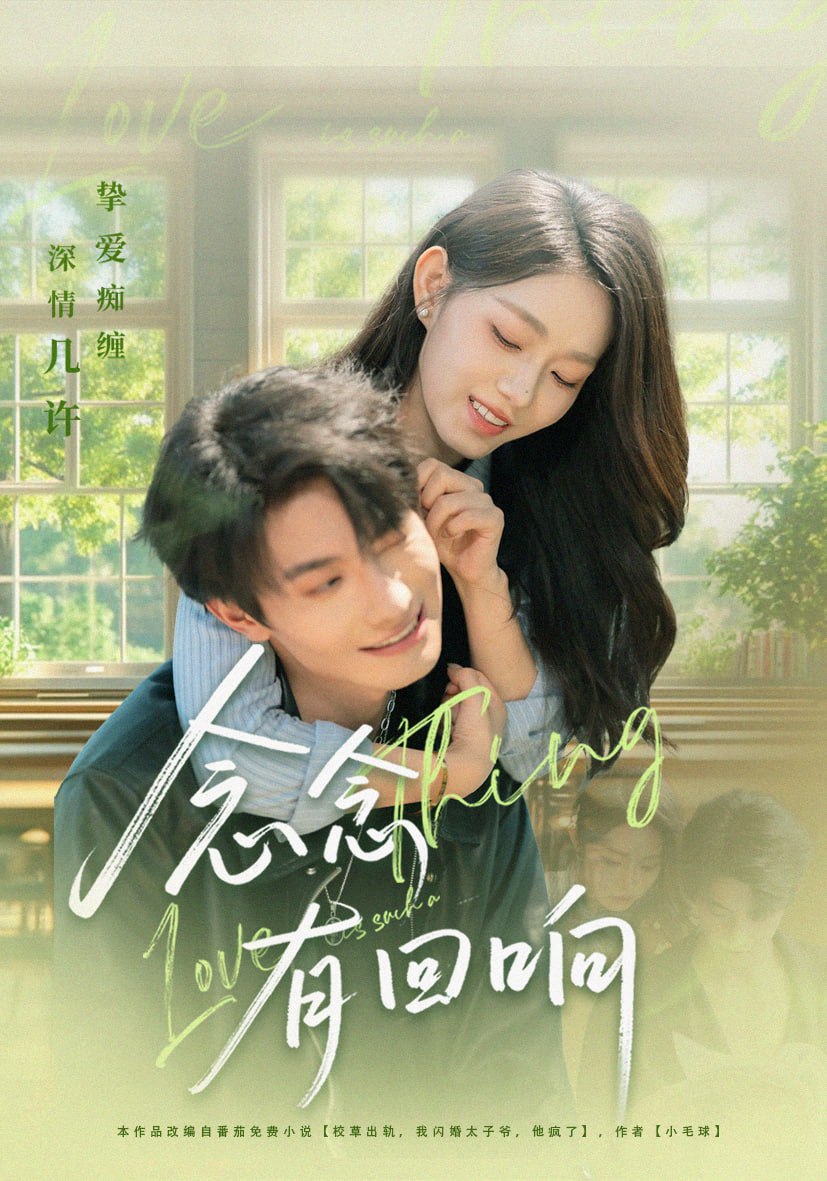 念念有回响全集完结(大结局)