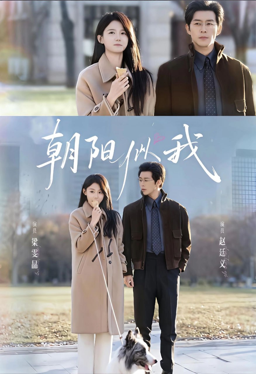 朝阳似我全集完结(大结局)