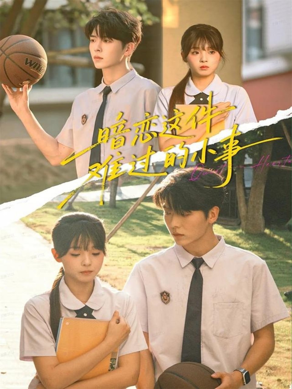 暗恋这件难过的小事全集完结(大结局)