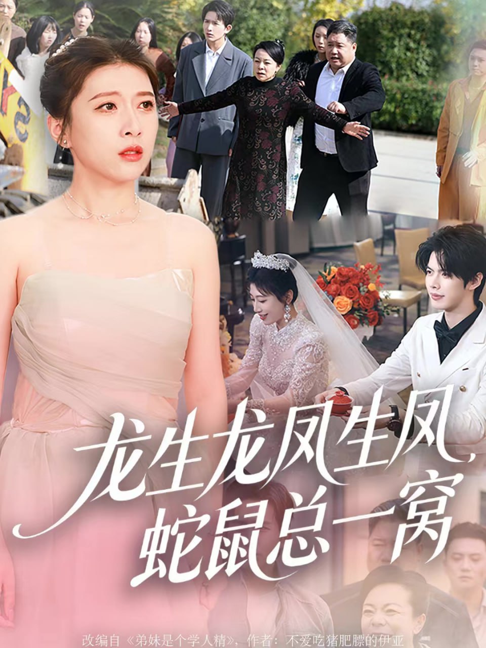 龙生龙凤生凤，蛇鼠总一窝全集完结(大结局)