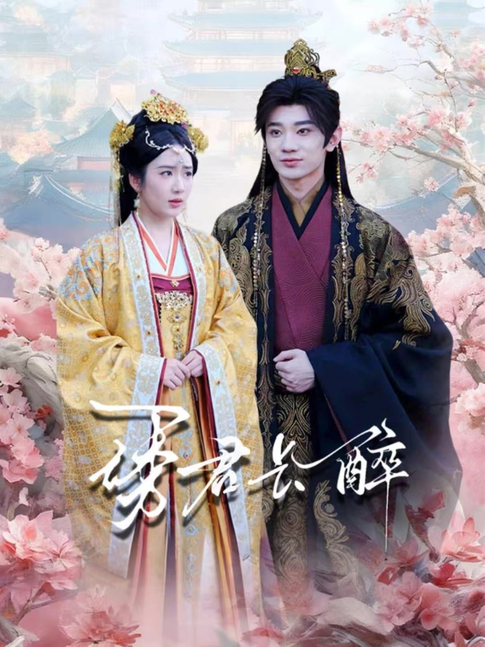 诱君长醉全集完结(大结局)