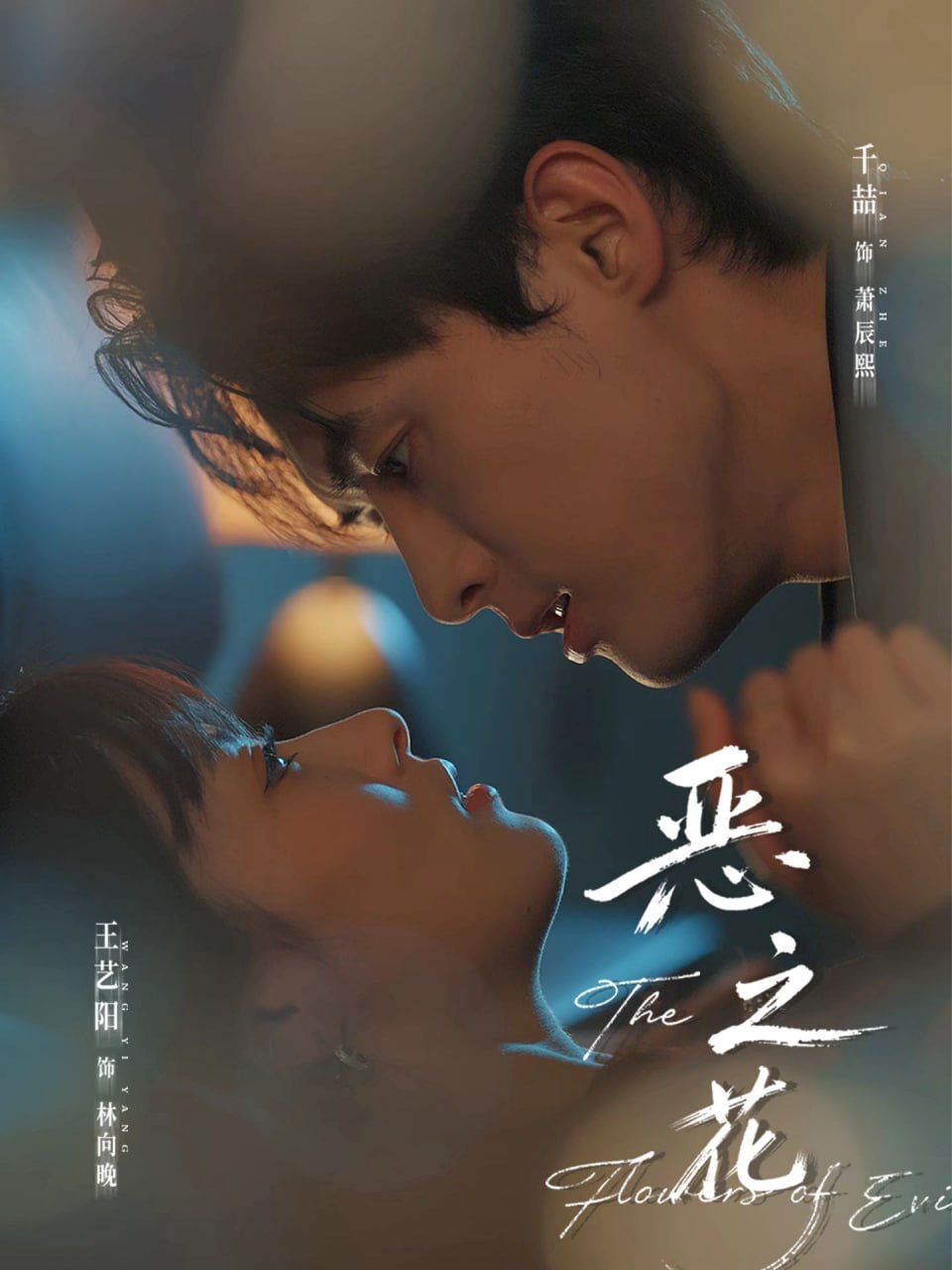 恶之花全集完结(大结局)