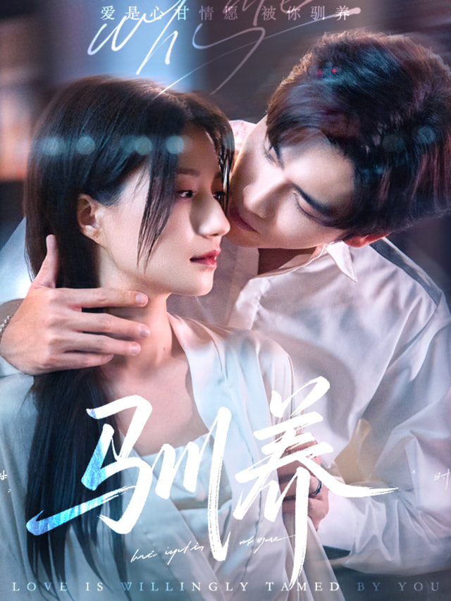 陷爱全集完结(大结局)