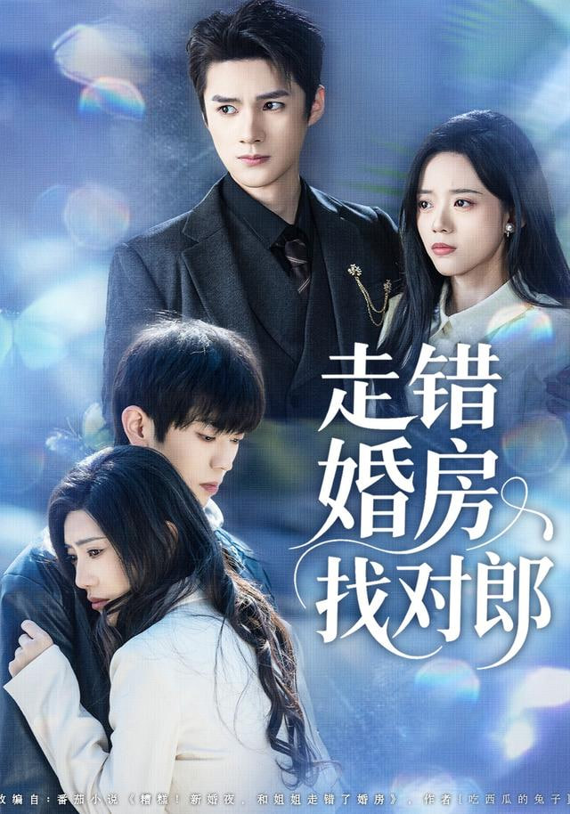 走错婚房找对郎全集完结(大结局)