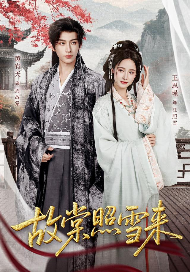 雪满东院全集完结(大结局)