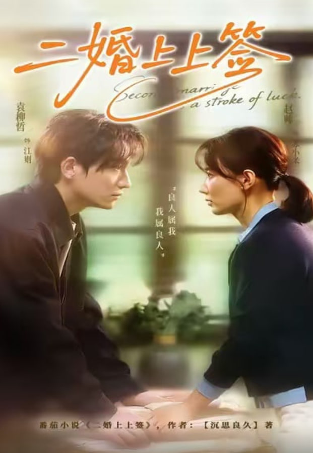 二婚上上签全集完结(大结局)