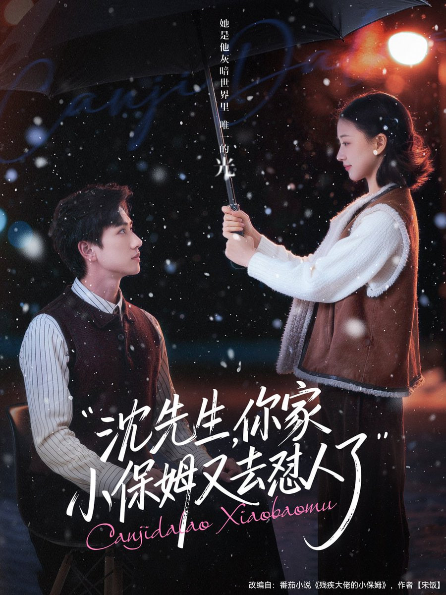 沈先生，你家小保姆又去怼人了全集完结(大结局)