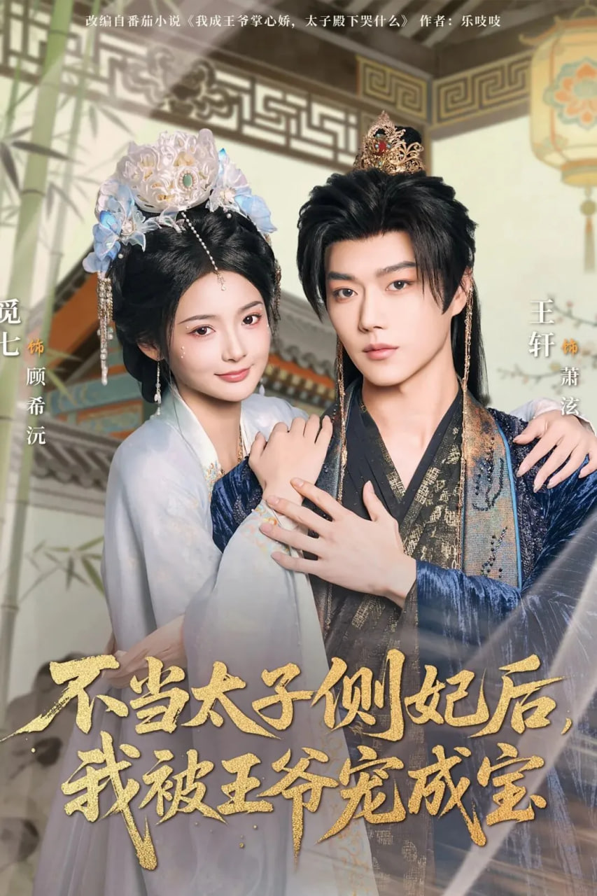 不当太子侧妃后，我被王爷宠成宝全集完结(大结局)