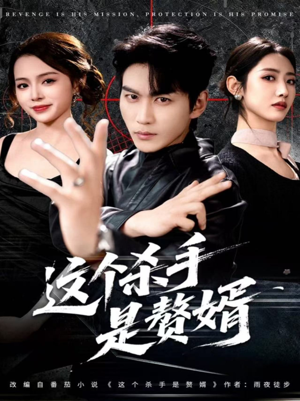 这个杀手是赘婿全集完结(大结局)