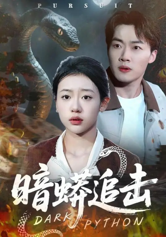 暗蟒追击(全集)