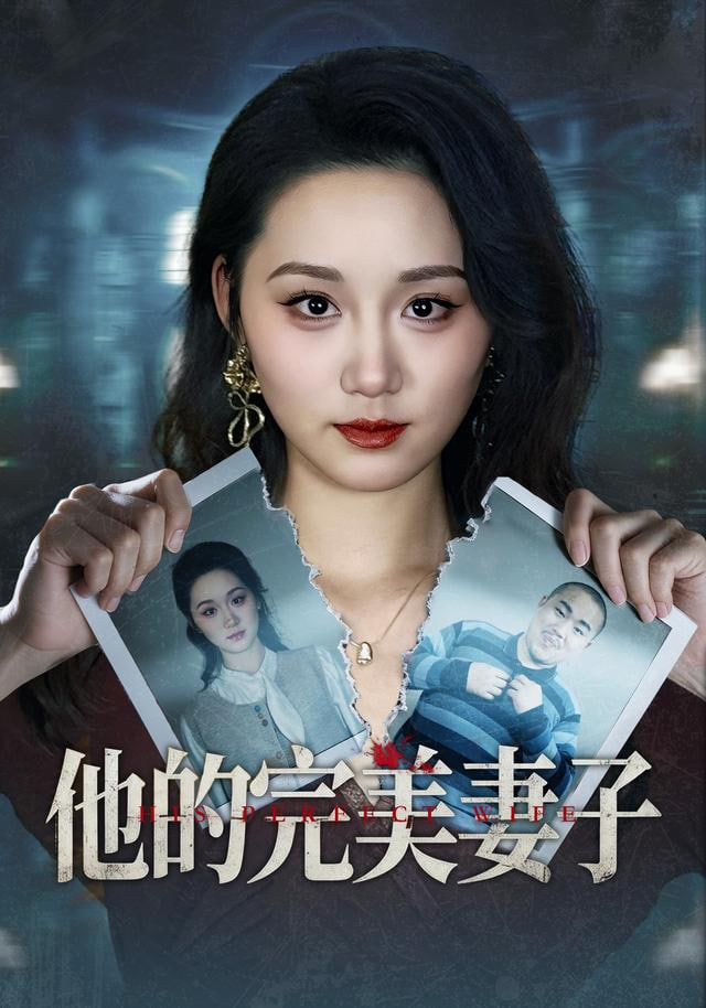 他的完美妻子全集完结(大结局)