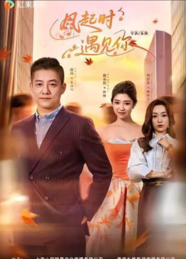 风起时遇见你(全集)