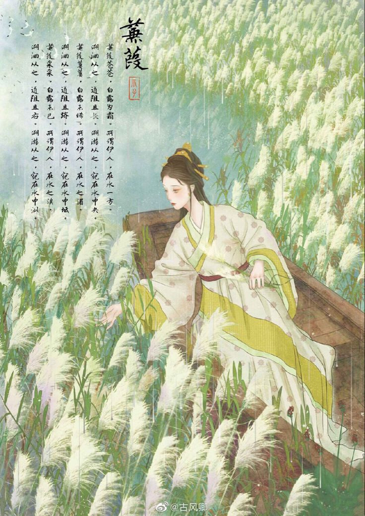 蒹葭全集完结(大结局)