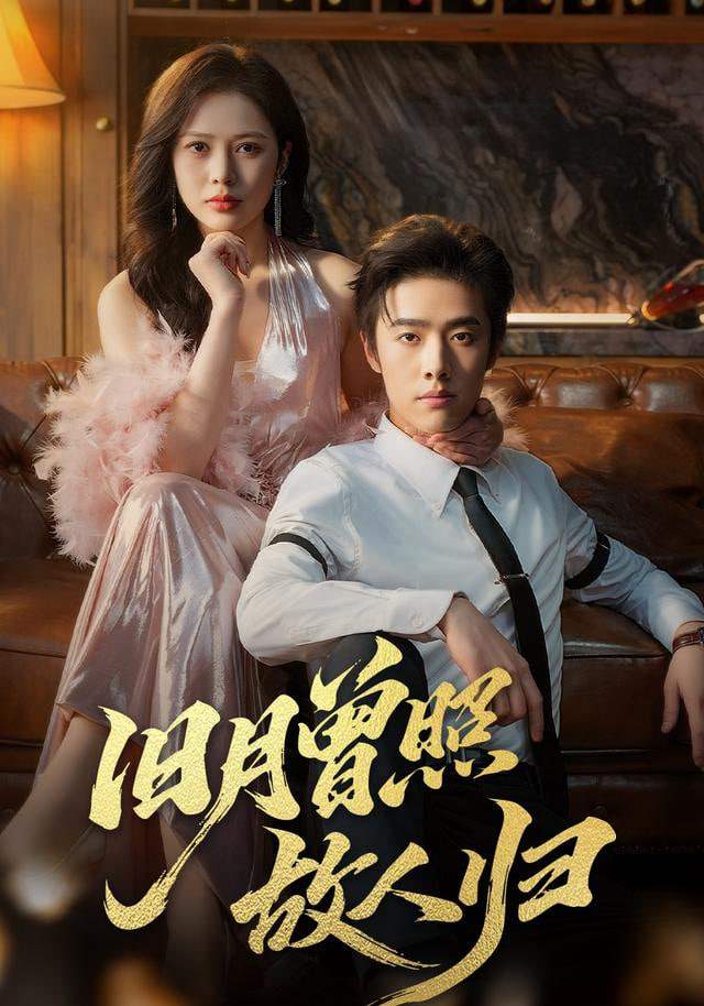 旧月曾照故人归全集完结(大结局)