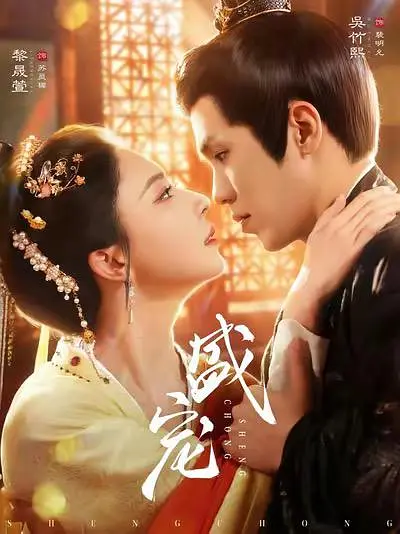 盛宠全集完结(大结局)