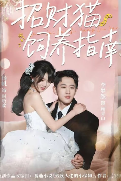 招财猫饲养指南(全集)