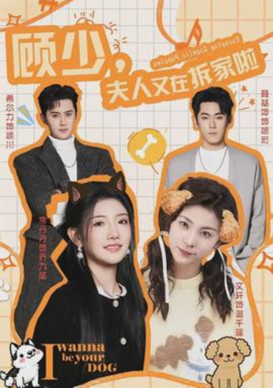 顾少，夫人又在拆家啦(全集)