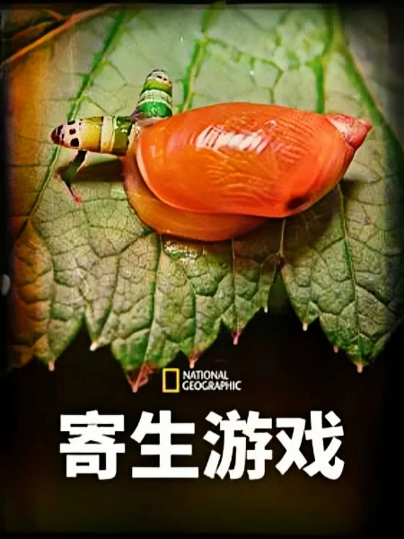 寄生游戏 第一季 国语版(全集)