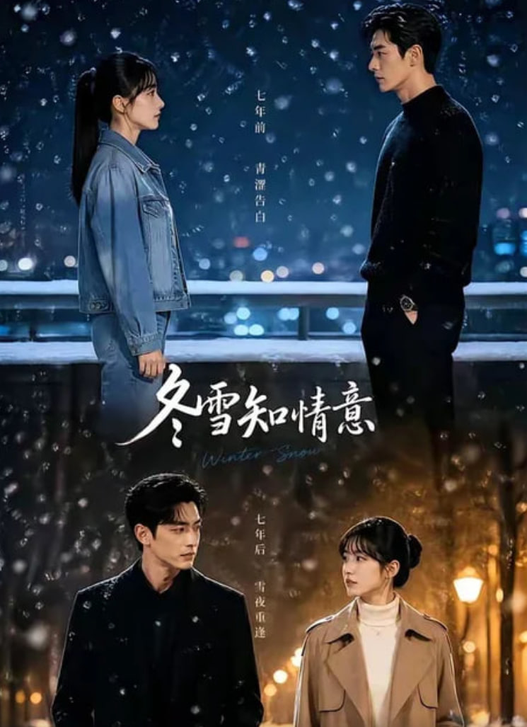 冬雪知情意(全集)