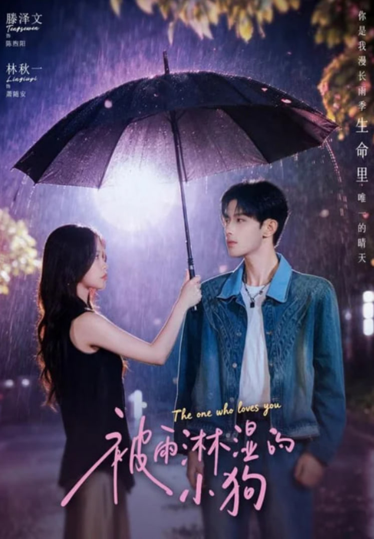 被雨淋湿的小狗(全集)