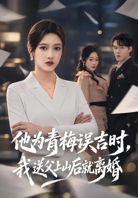 他为青梅误吉时，我送父上山后就离婚(全集)