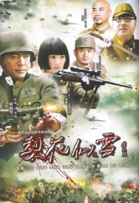 梨花似雪第04集