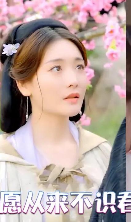 只愿从来不识君全集(大结局)