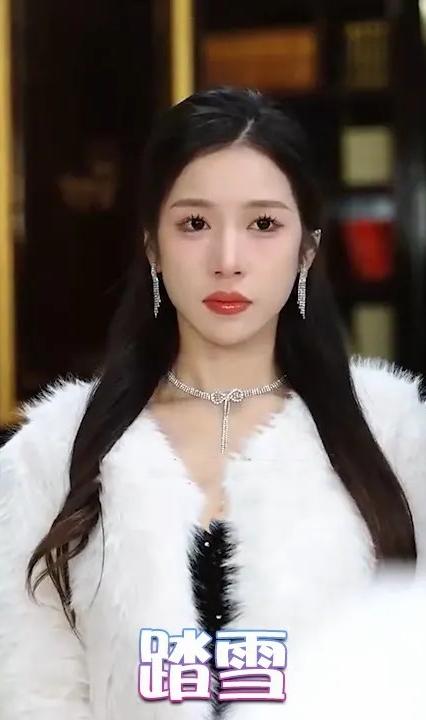 踏雪全集(大结局)