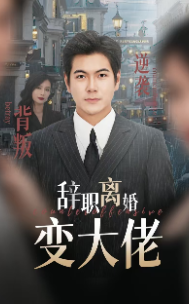 辞职离婚变大佬第05集