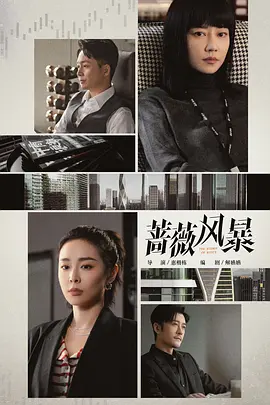 蔷薇风暴第24集