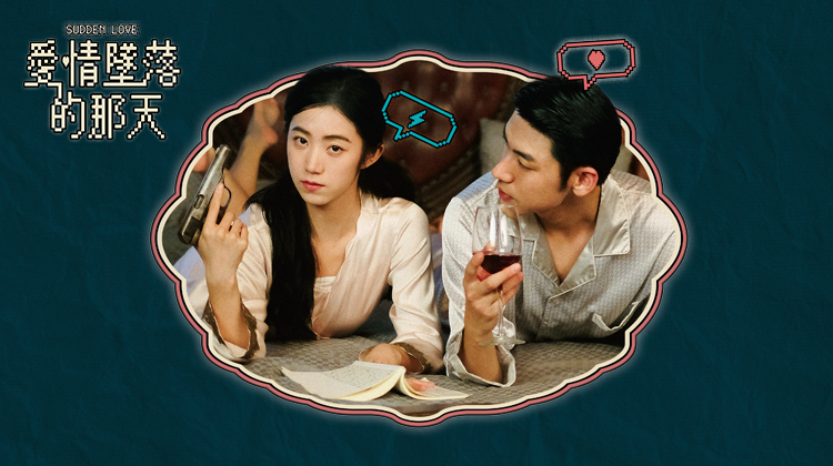 爱情坠落的那天第20集
