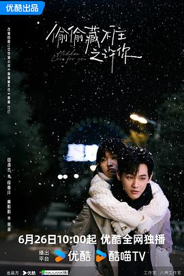 偷偷藏不住之许你第08集